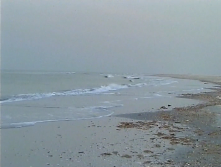 Beelden uit de film